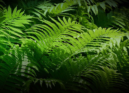 龙8-long8(国际)唯一官方网站